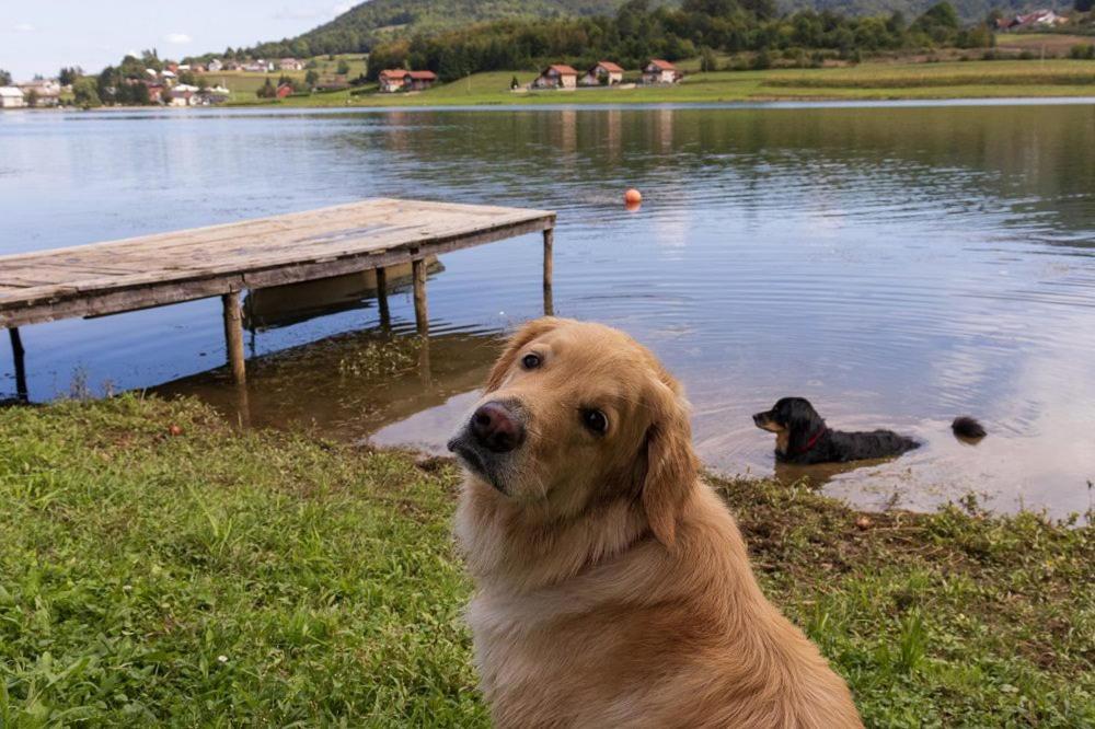 Kuca Za Odmor Jezero Villa Огулин Екстериор снимка